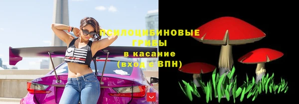 первитин Вяземский