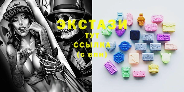 стаф Вязьма