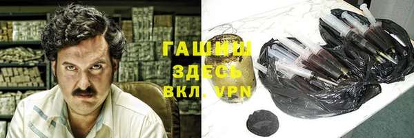 стаф Вязьма