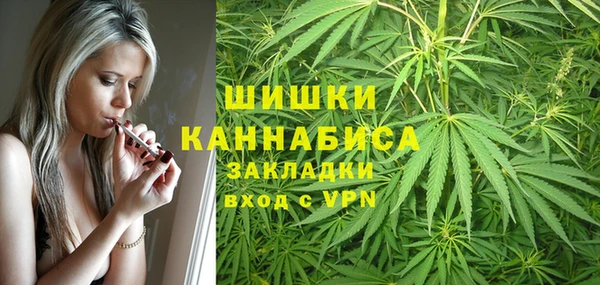 стаф Вязьма