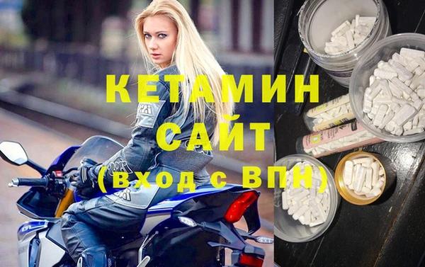 стаф Вязьма