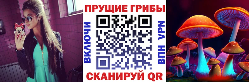 как найти   omg как войти  Псилоцибиновые грибы прущие грибы  Зеленокумск 